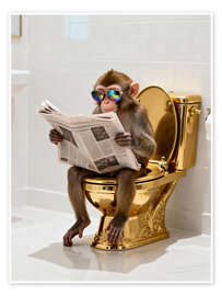 Poster Affe auf der goldenen Toilette - Softlight Boutique