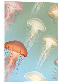 Acrylglasbild Quallen im Licht - Softlight Boutique