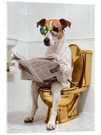 Acrylic print Dog on the golden toilet - Softlight Boutique