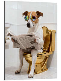 Print på aluminium Dog on the golden toilet - Softlight Boutique
