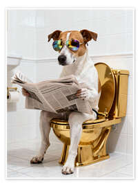 Poster Hund auf der goldenen Toilette - Softlight Boutique