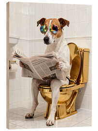 Stampa su legno Dog on the golden toilet - Softlight Boutique