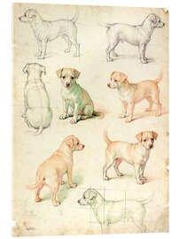 Tableau en verre acrylique Dog Sketch Vintage - Softlight Boutique