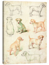Leinwandbild Vintage-Hundeskizze - Softlight Boutique