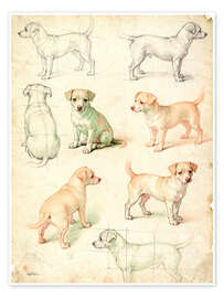 Plakat Dog Sketch Vintage - Softlight Boutique