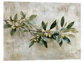 Acrylic print Vintage Olive Branch - Olga Telnova