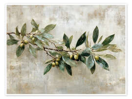 Poster Vintage Olivenzweig - Olga Telnova