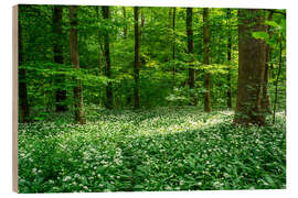 Holzbild Zauberhafter Bärlauch im grünen erholsamen Wald - Oliver Henze