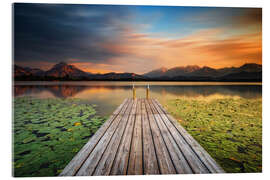 Acrylic print The Alps on a summer evening - Carsten Meyerdierks