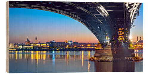 Trebilde Mainz Germany with rhine bridge